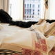 Illustration for article titled Behold Beauty in a Black. Now Voyager Luxury Throw Blanket